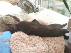 Service : chat Service : chat