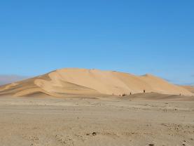 Location : motobineuse Location : motobineuse