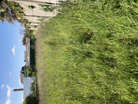 Service : debroussaillage Service : debroussaillage