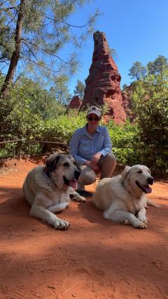 Service : garde animaux Service : garde animaux