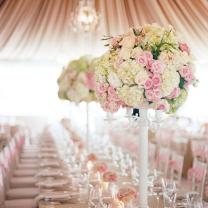 Location : salle reception Location : salle reception