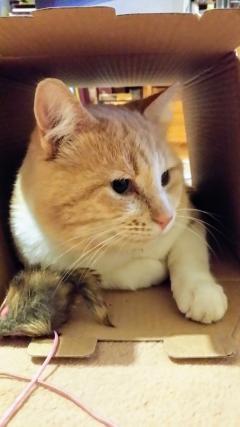 Service : chat Service : chat