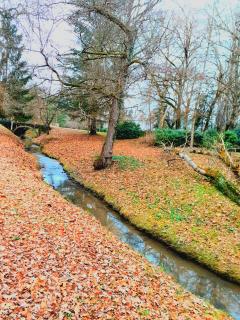 Location : tondeuse Location : tondeuse