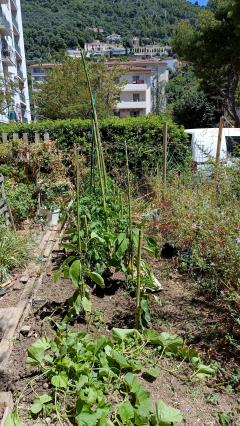 Louer mon jardin