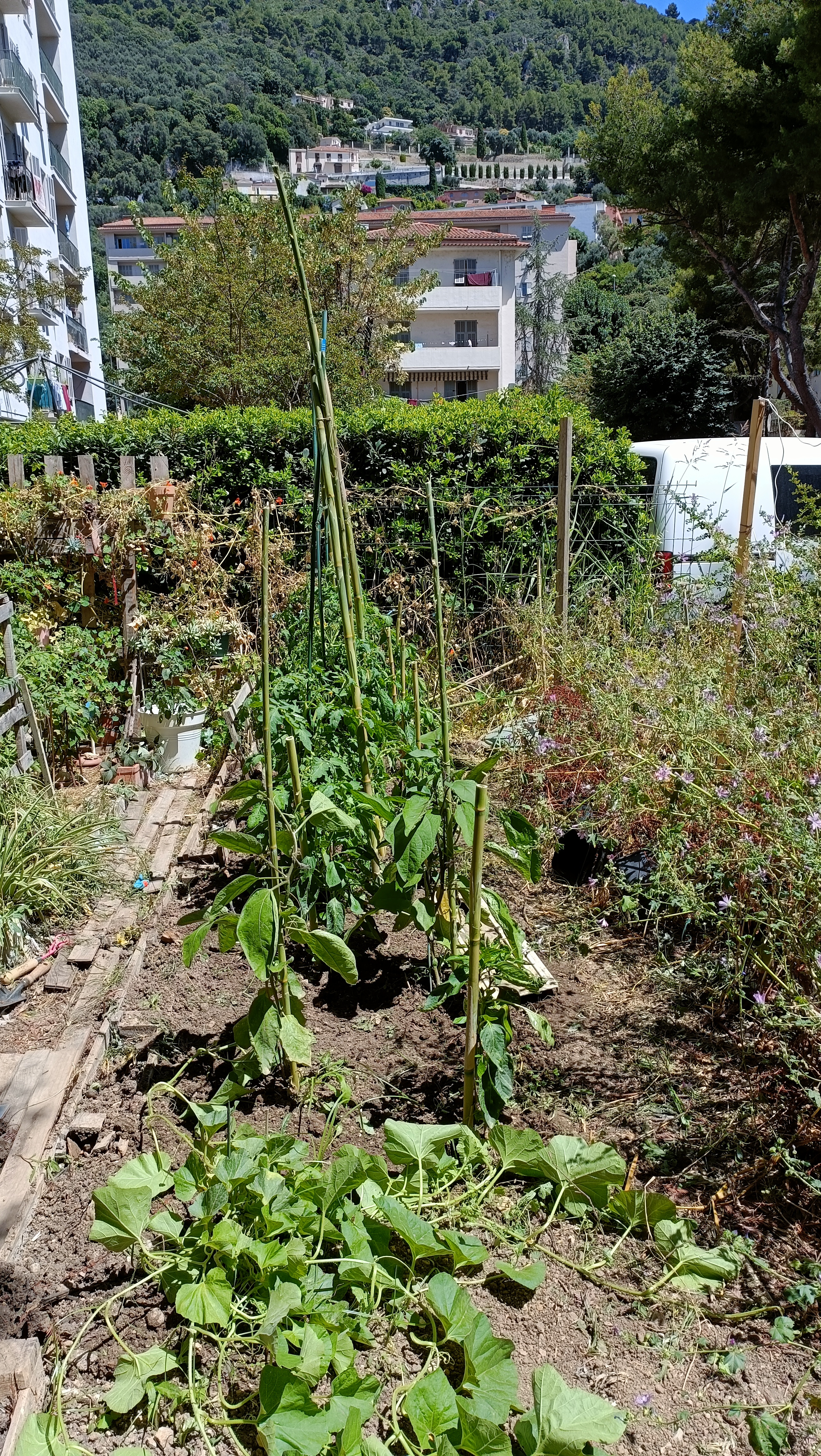 Location jardin potager 06 entre particuliers