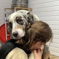 Service : chien Service : chien