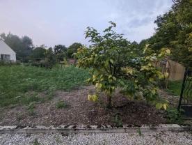 Service : debroussaillage Service : debroussaillage