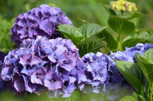 Service : aide demenageur Service : aide demenageur