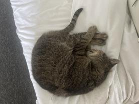 Service : chat Service : chat