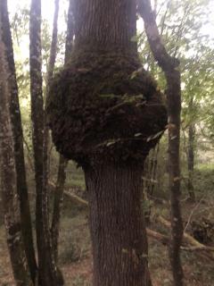 Service : reparation telephone Service : reparation telephone