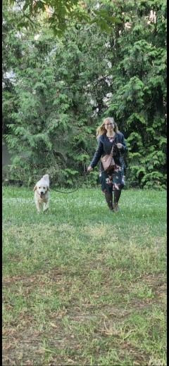 Service : chat Service : chat