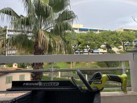 Location : taille haie Location : taille haie