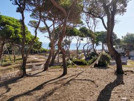 Location : salle reception Location : salle reception