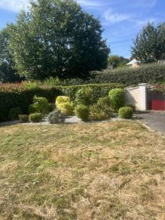 Service : taille de haies Service : taille de haies