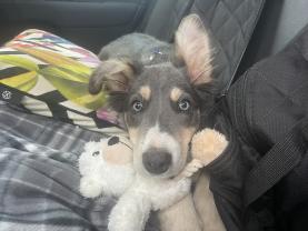 Location : drone Location : drone