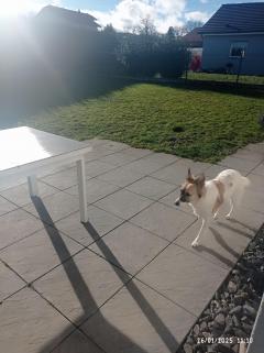 Demander à manger