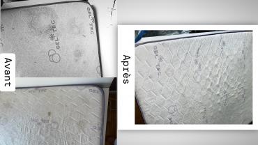 Service : nettoyage moquette Service : nettoyage moquette