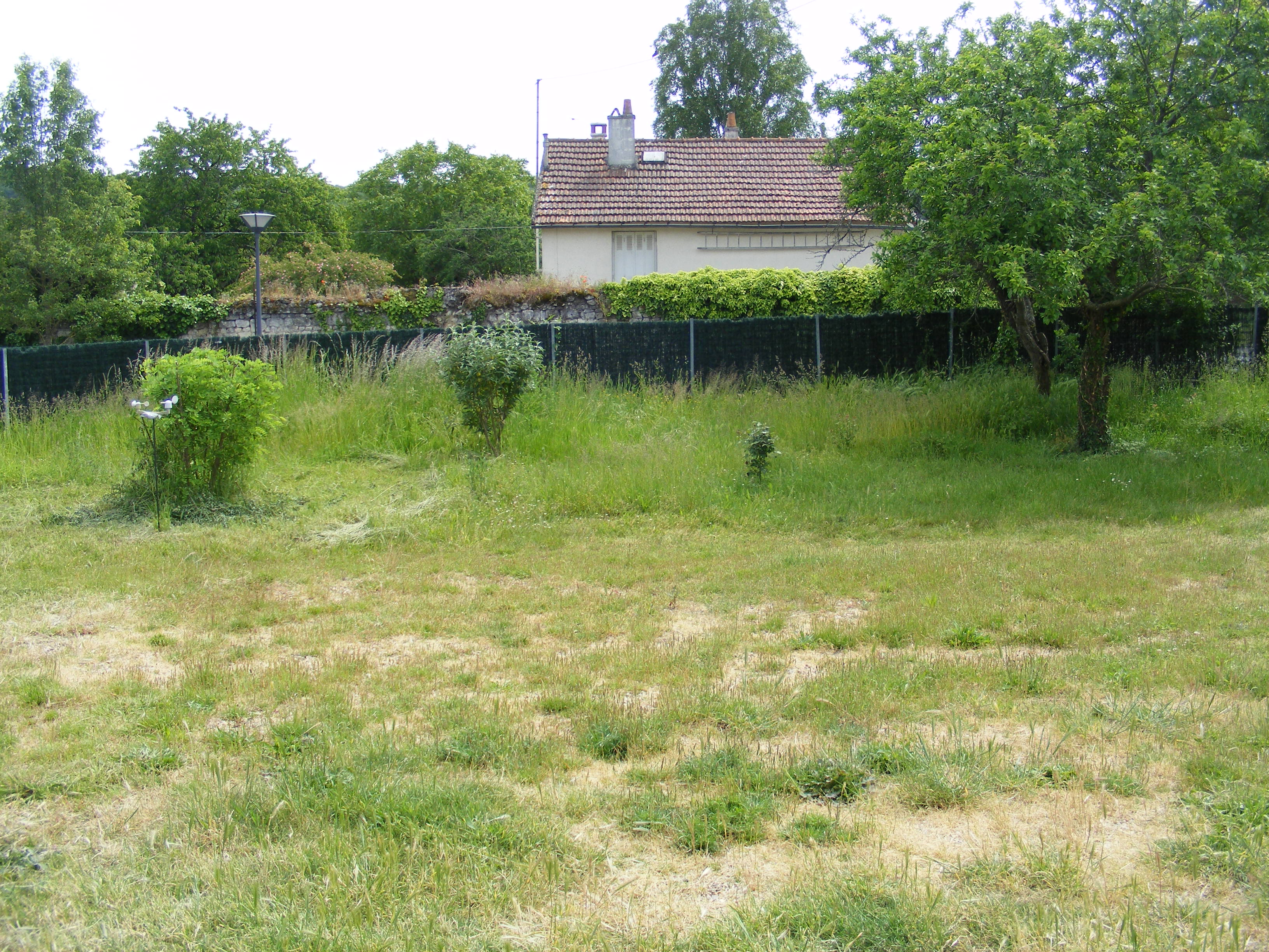 Service tonte de pelouse 37 entre particuliers