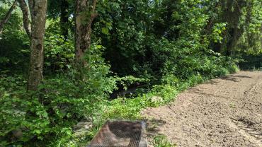 Location : jardin Location : jardin