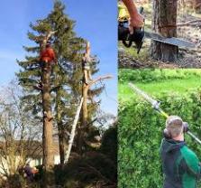 Service : paysagiste Service : paysagiste