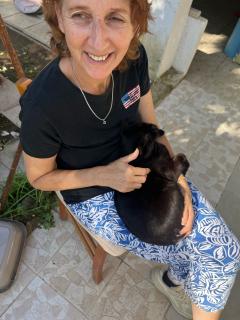 Service : chat Service : chat