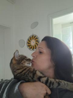 Service : garde animaux Service : garde animaux