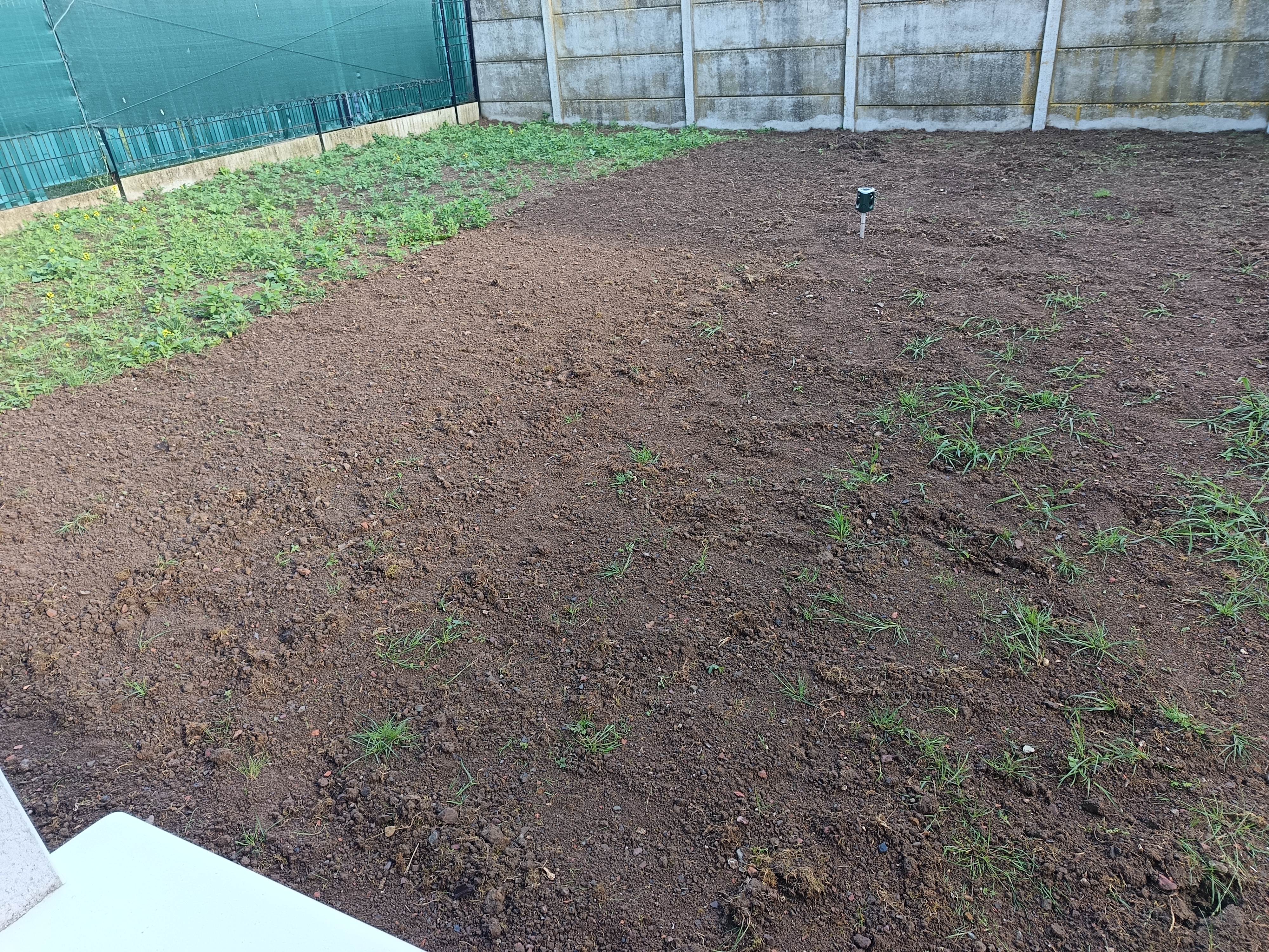 Location motobineuse 62 entre particuliers