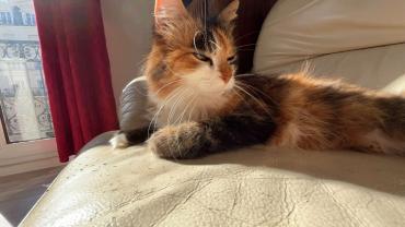 Service : chat Service : chat