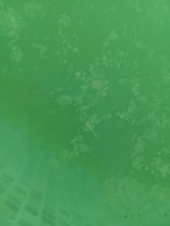 Location : robot piscine Location : robot piscine