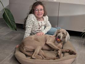 Service : chien Service : chien