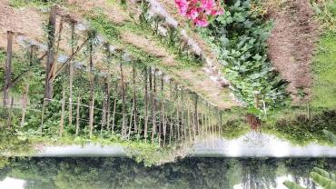 Louer mon jardin