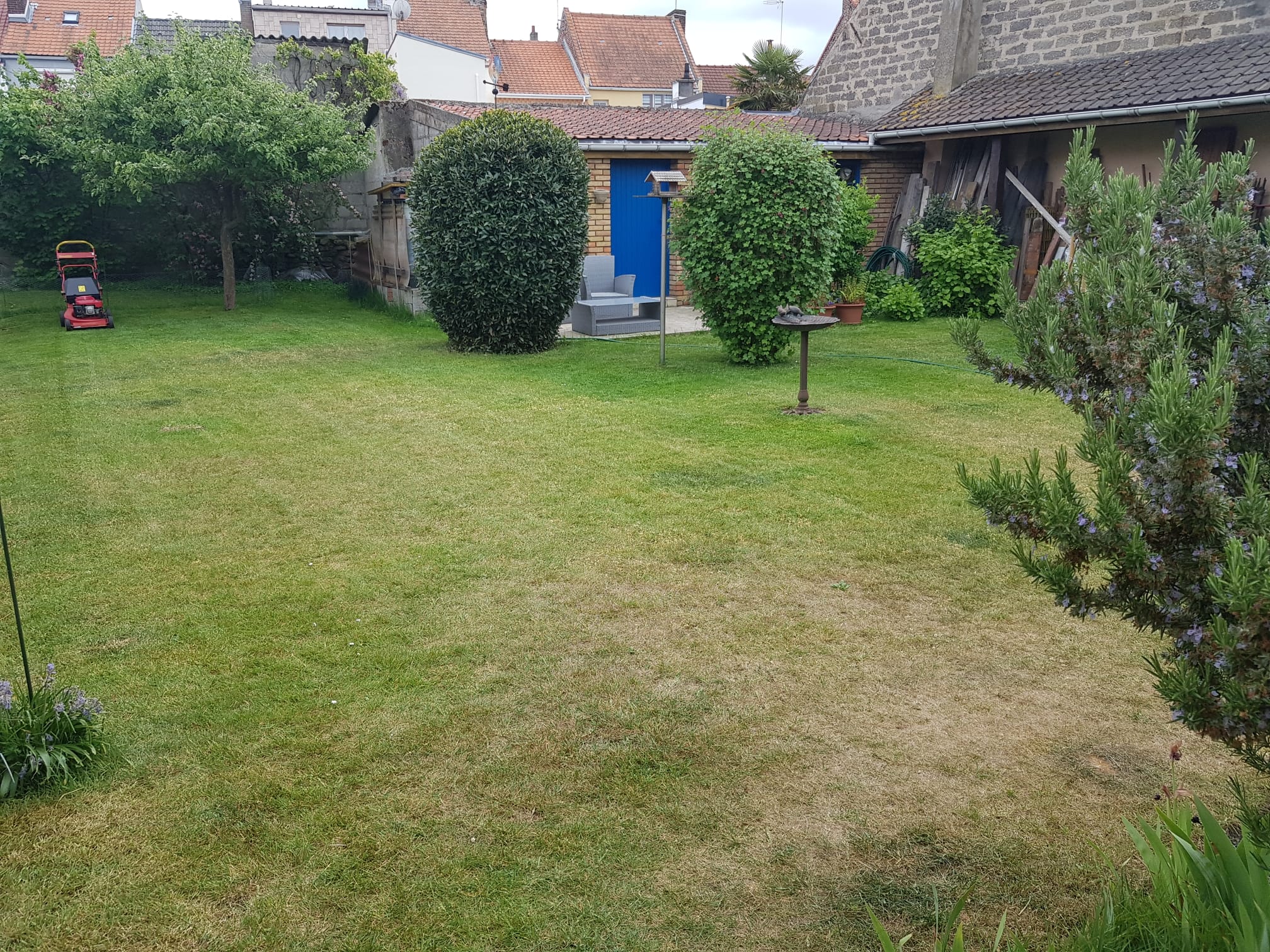 Service tonte de pelouse 62 entre particuliers