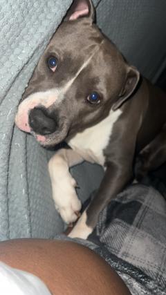 Proposer mes services