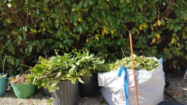 Location : broyeur a vegetaux Location : broyeur a vegetaux