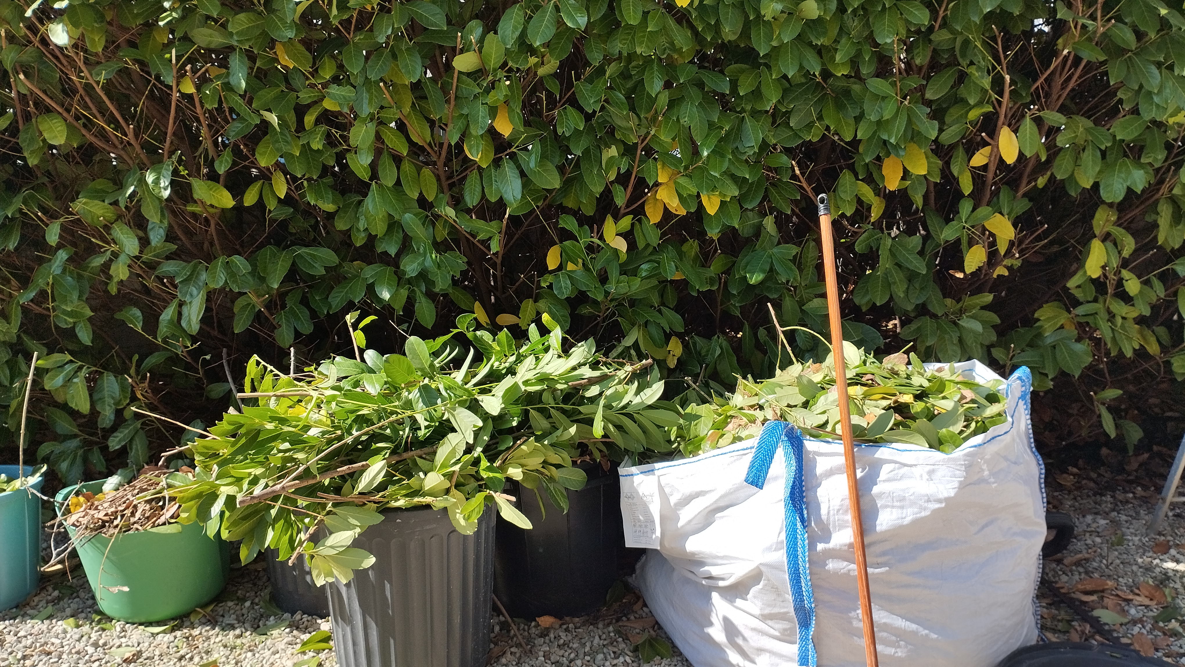 Location broyeur a vegetaux 89 entre particuliers