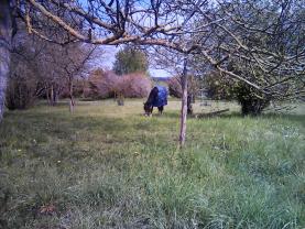 Location : autre Location : autre