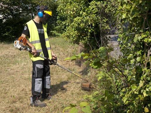 Service taille de haies 25 entre particuliers