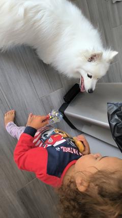 Demander ce petsitter Demander ce petsitter