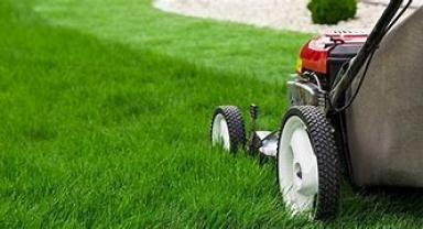 Service : tonte de pelouse Service : tonte de pelouse
