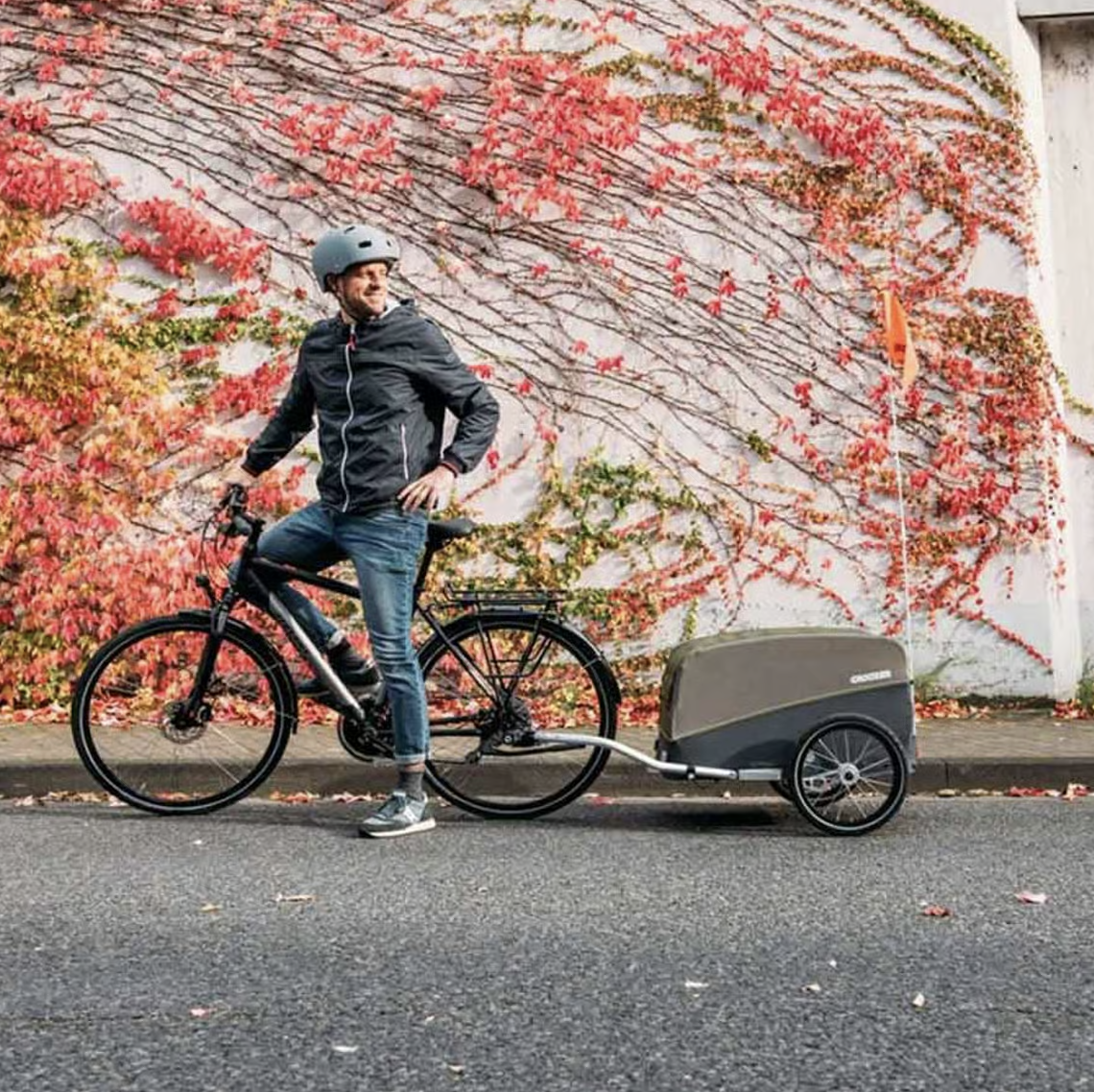Location remorque velo 44 entre particuliers