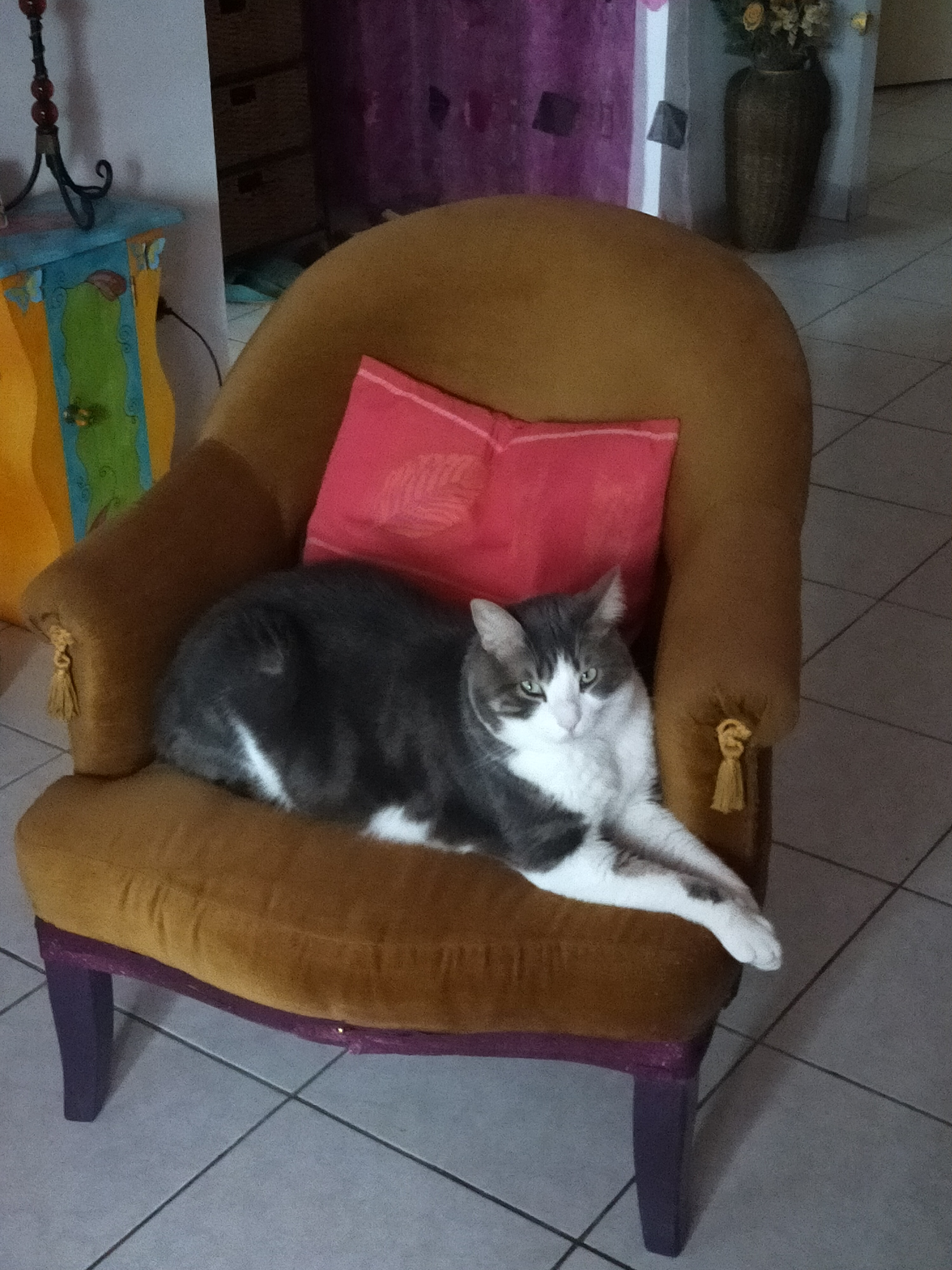 Service chat 84 entre particuliers