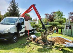 Service : entretien espace vert Service : entretien espace vert