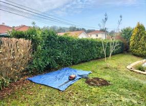 Service : paysagiste Service : paysagiste