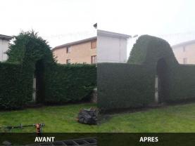 Service : taille de haies Service : taille de haies