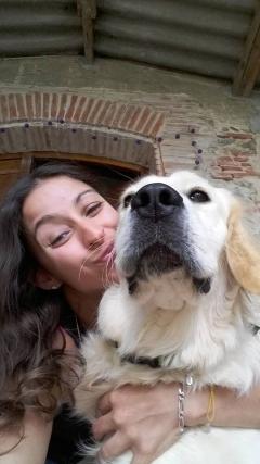 Service : garde animaux Service : garde animaux