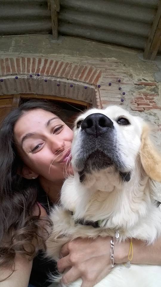 Service garde animaux 31 entre particuliers