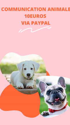 Service : garde animaux Service : garde animaux