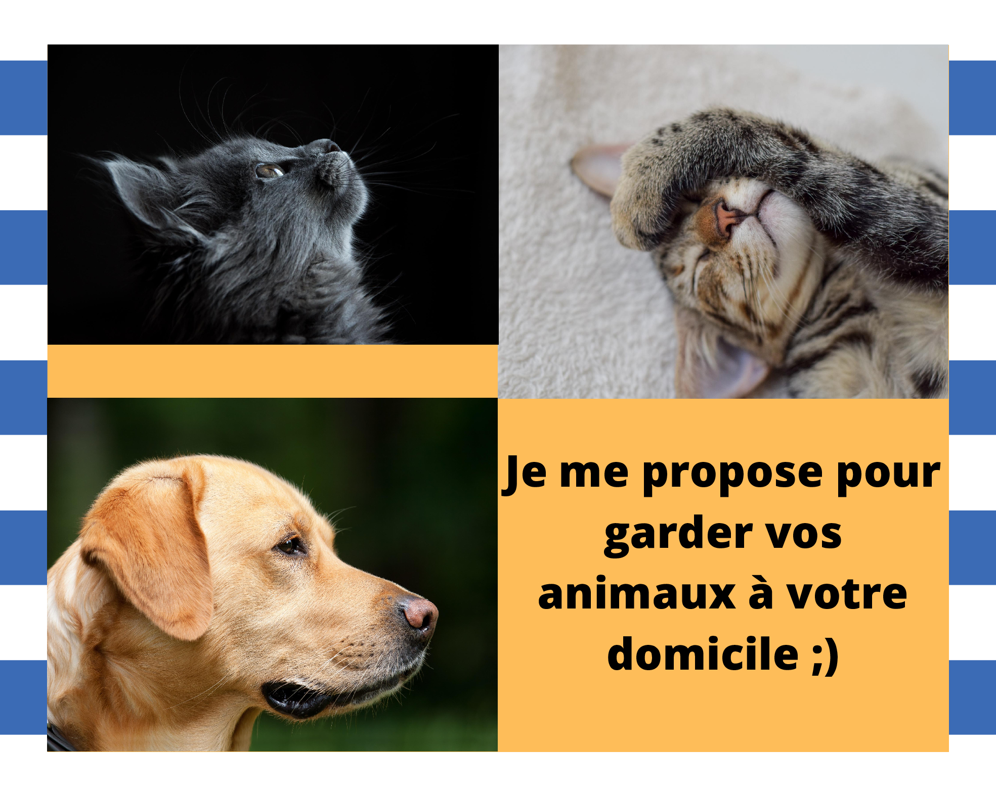 Service garde animaux 13 entre particuliers