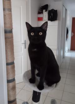 Location : logement contre service Location : logement contre service