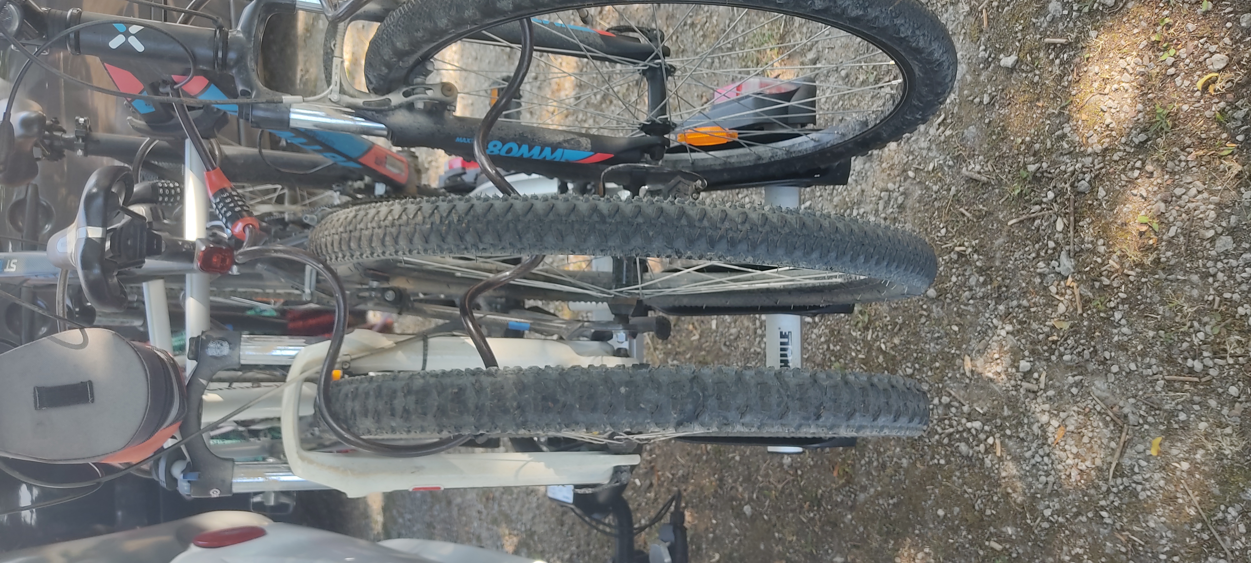 Location porte velo entre particuliers (54)